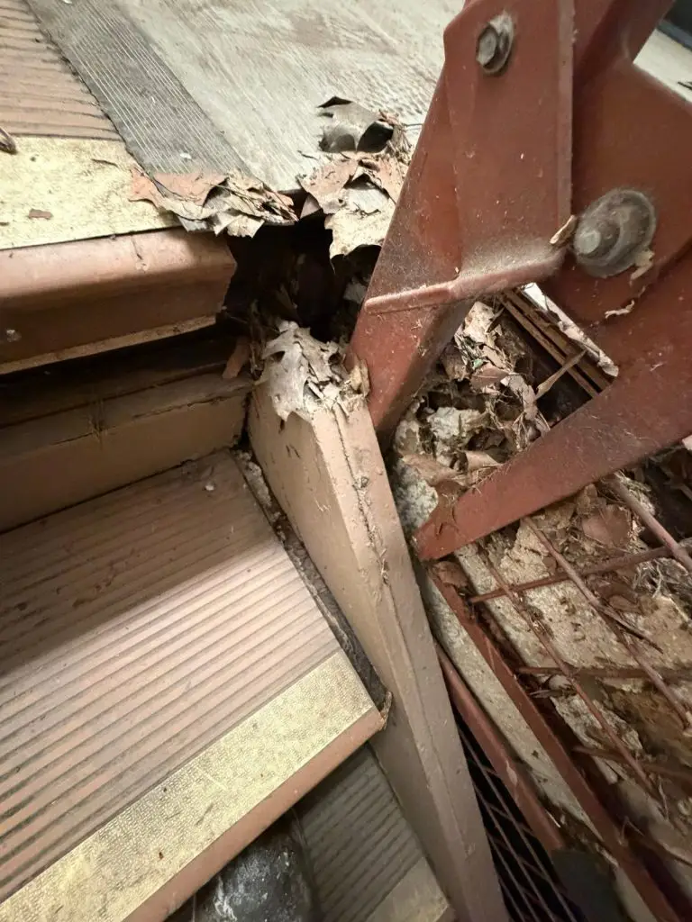 Damaged framing exposed during selective demolition in Braddock, PA