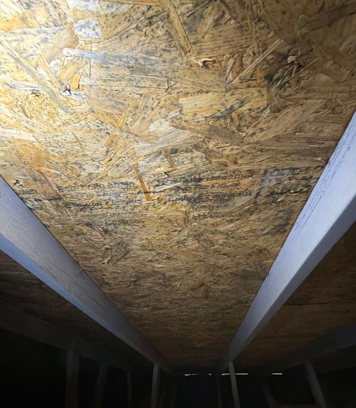Mold-stained wood sheathing before remediation in Pittsburgh, PA