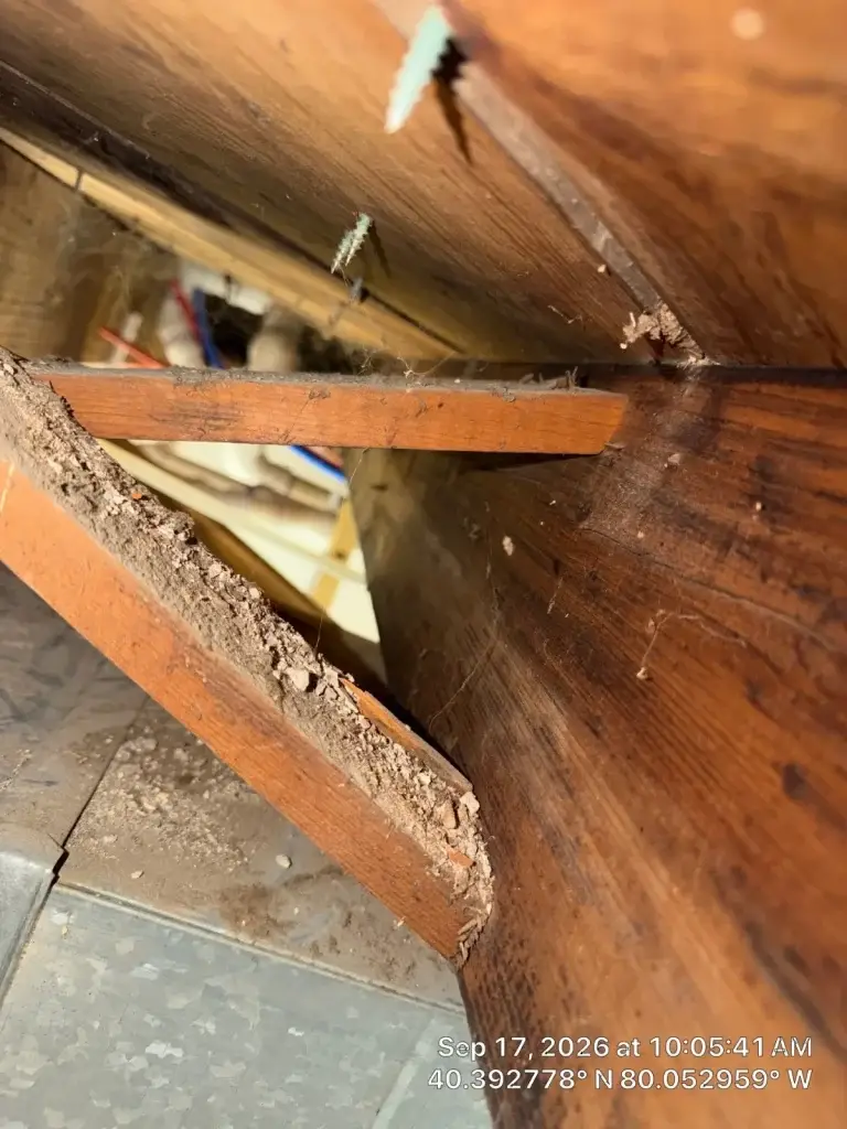 HEPA vacuuming debris in a crawl space in Pittsburgh, PA