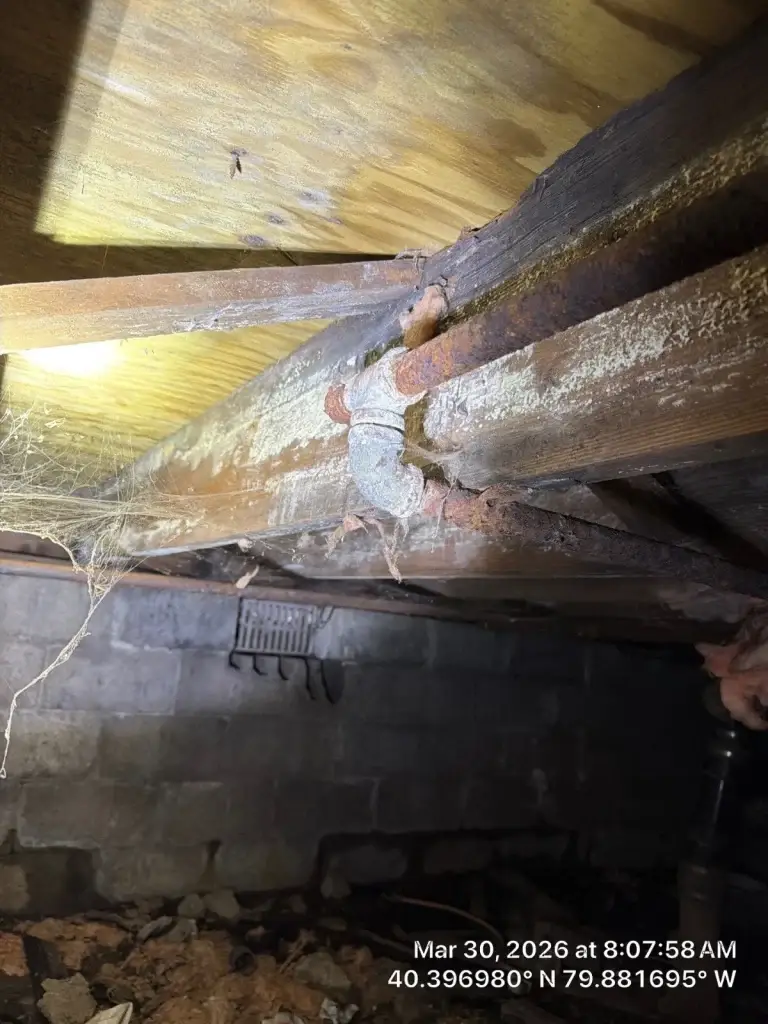 Crawl space with fallen, damaged insulation in West Mifflin, PA