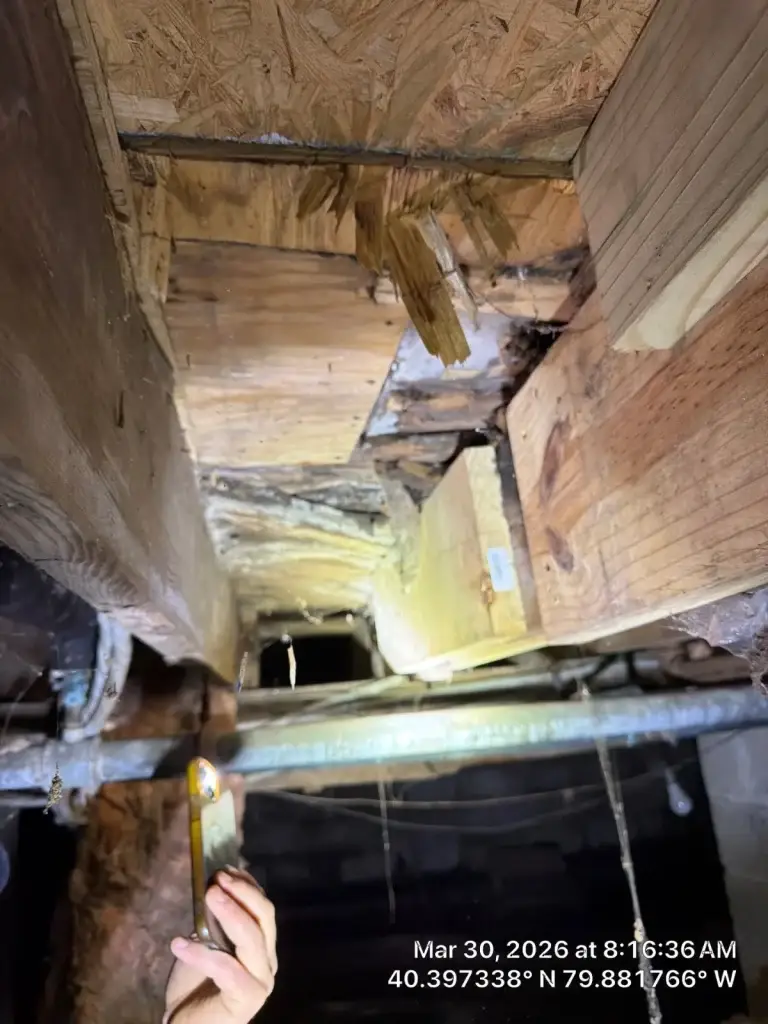 Wet insulation hanging in a crawl space in West Mifflin, PA