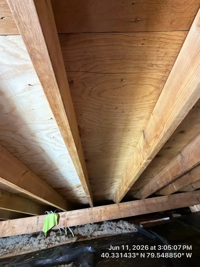 Basement joists cleaned after mold remediation in Greensburg, PA