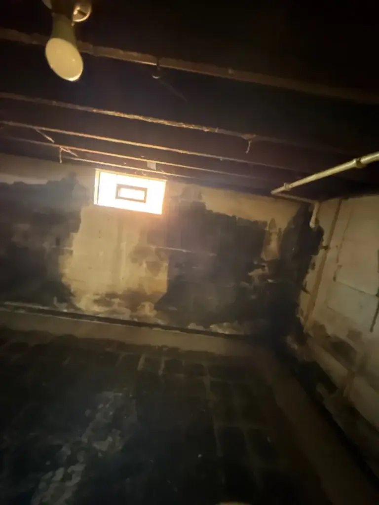 Basement before mold remediation in Leechburg, PA