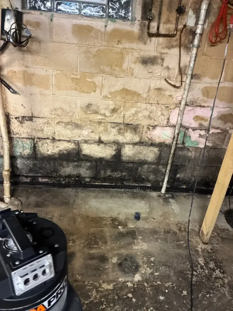 Mold on basement walls near the stairs in Leechburg, PA
