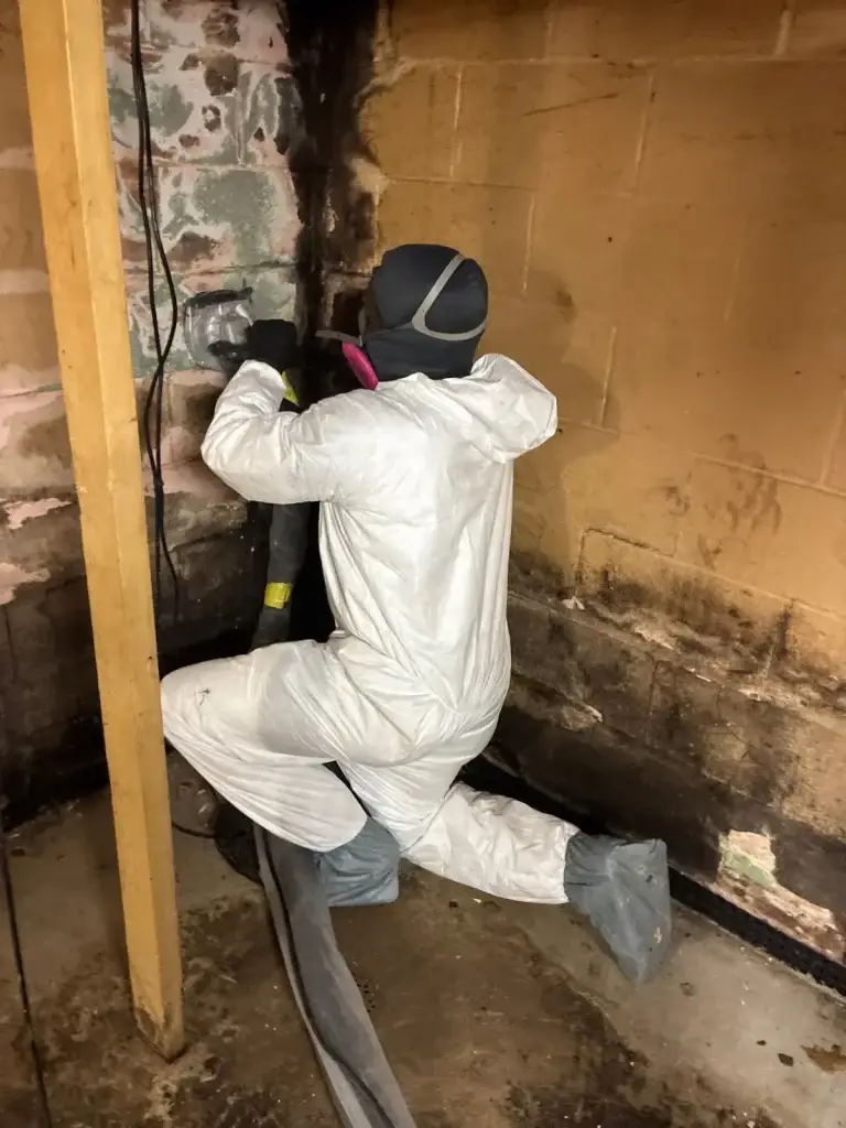 Technician in full protective gear during mold removal in Leechburg, PA