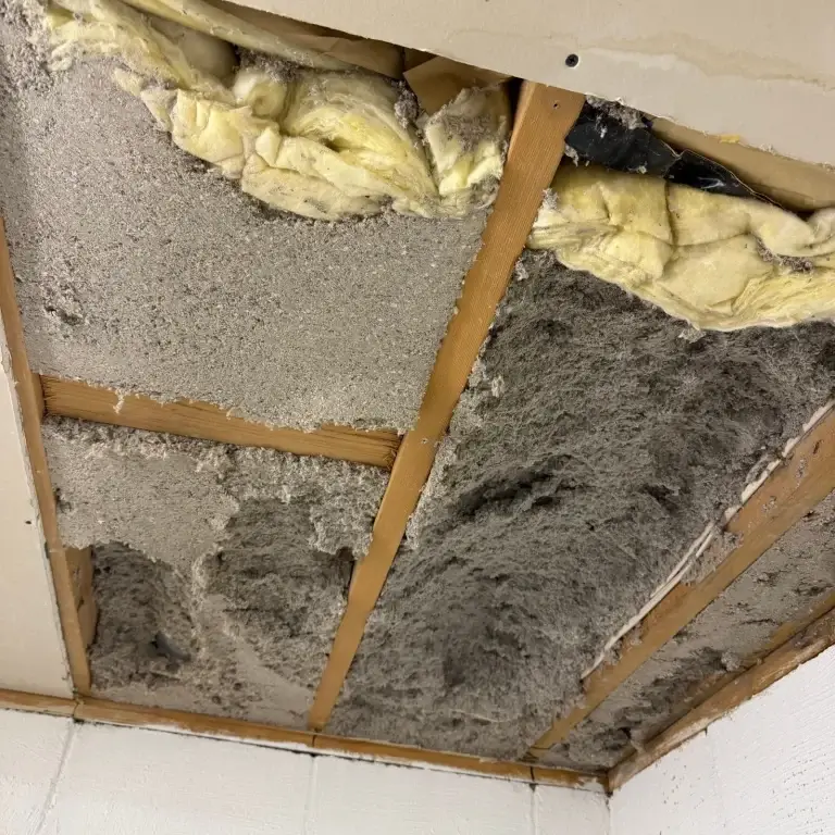 Ceiling opened to expose moldy insulation in McKeesport, PA
