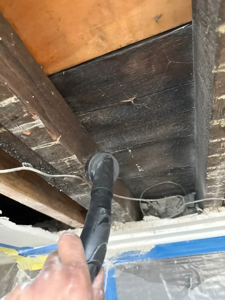 Mold staining on floor joists in Pittsburgh, PA