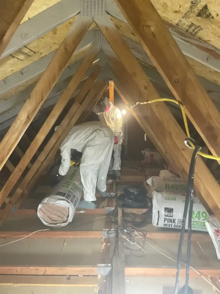 Technician in protective gear treating attic mold in Pittsburgh, PA