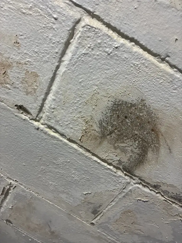 Efflorescence and moisture on a block basement wall in Baden, PA