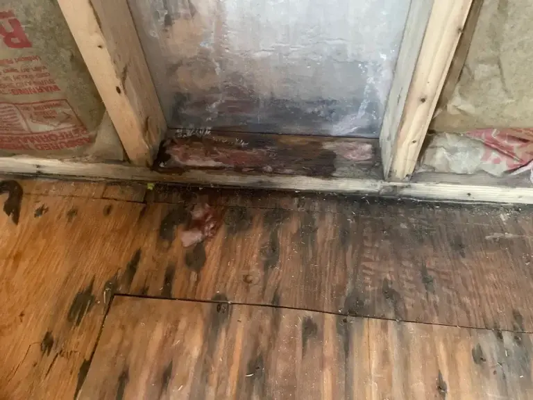 Water-stained subfloor after a leak in McKeesport, PA